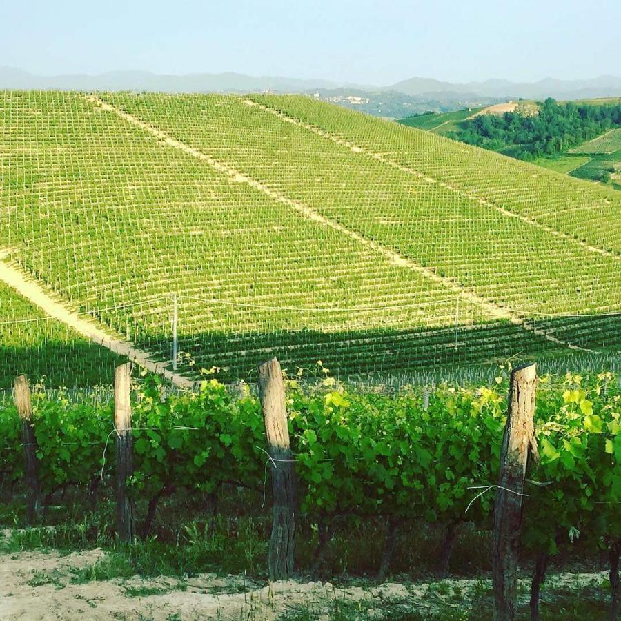 Cascina Valtignosa Camere Con Vigna Cassine Exteriér fotografie