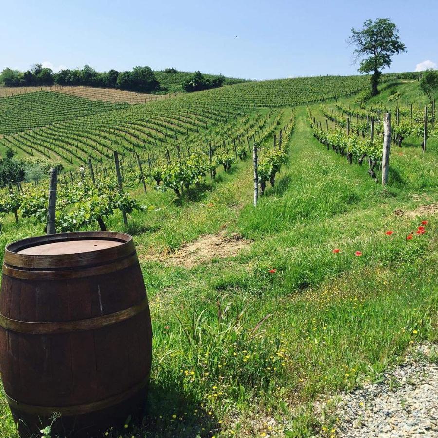 Cascina Valtignosa Camere Con Vigna Cassine Exteriér fotografie