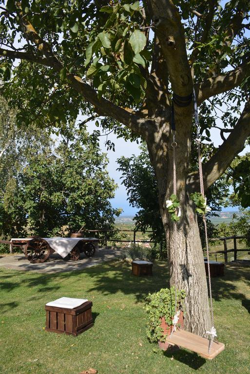 Cascina Valtignosa Camere Con Vigna Cassine Exteriér fotografie