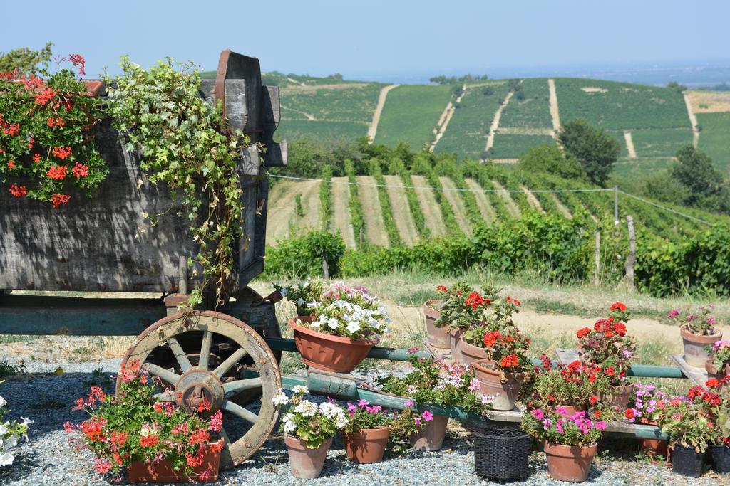 Cascina Valtignosa Camere Con Vigna Cassine Exteriér fotografie